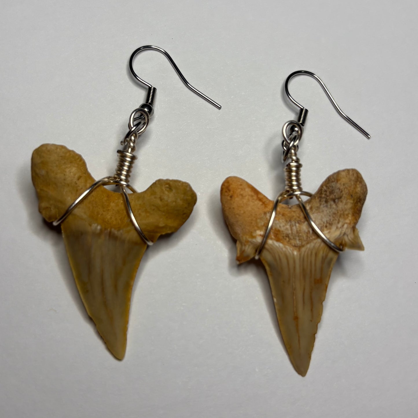 Shark Tooth Earrings
