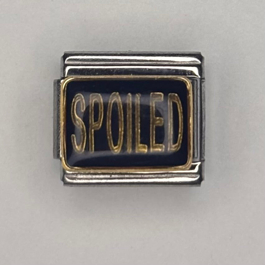 Spoiled Italian Charm Bracelet Link