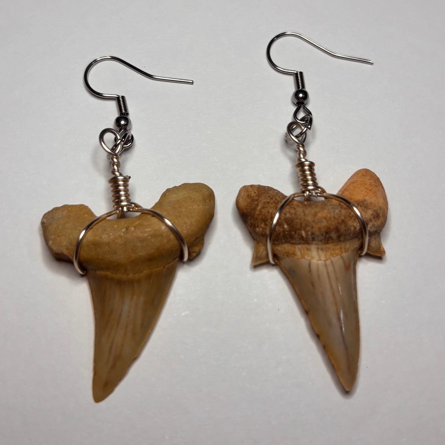 Shark Tooth Earrings
