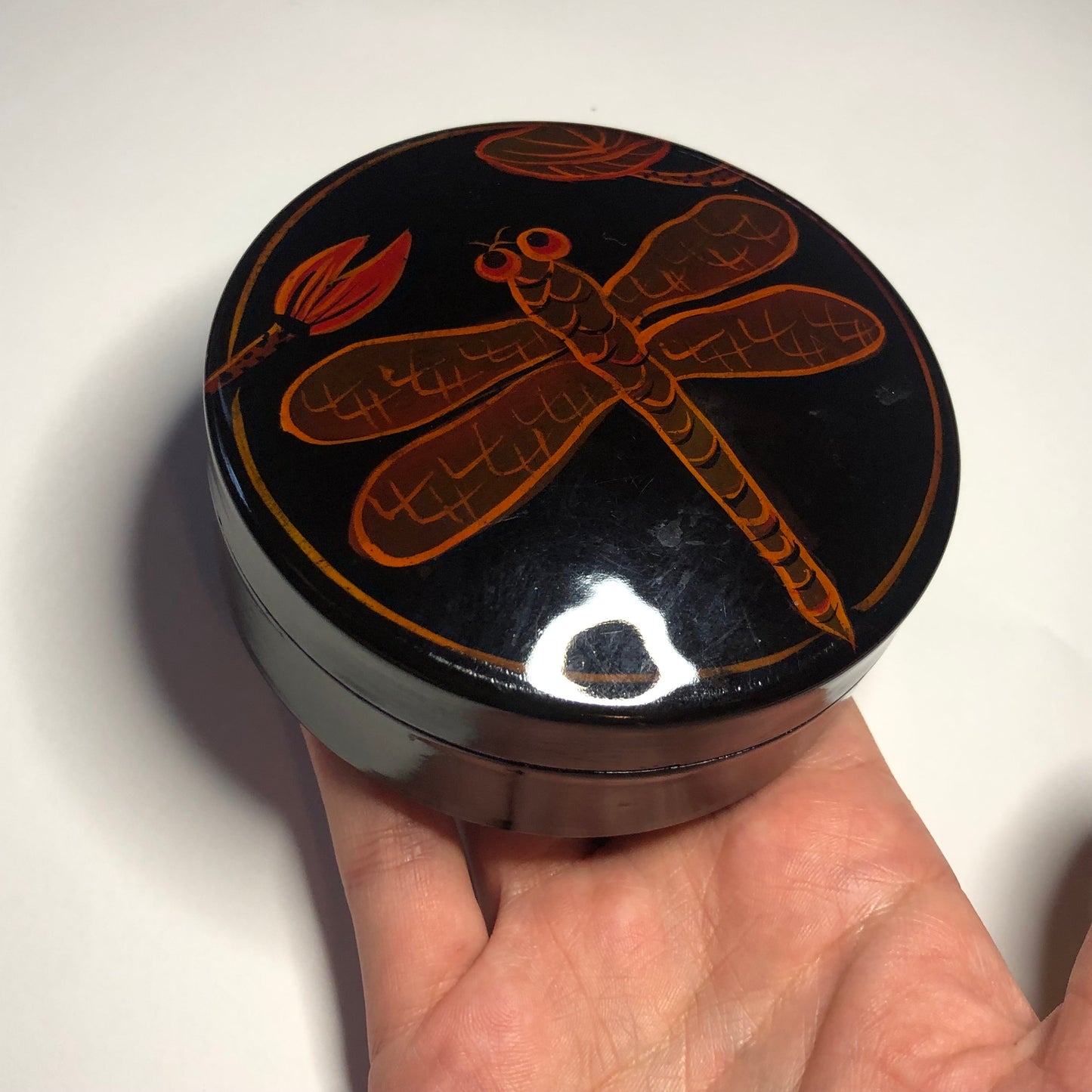 dragonfly box