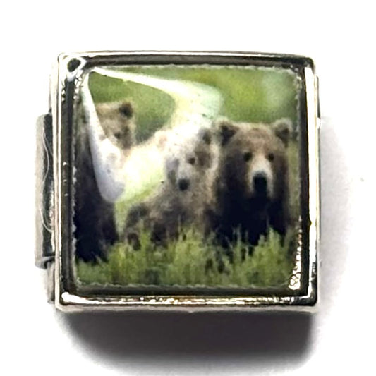 Bears Italian Charm Bracelet Link