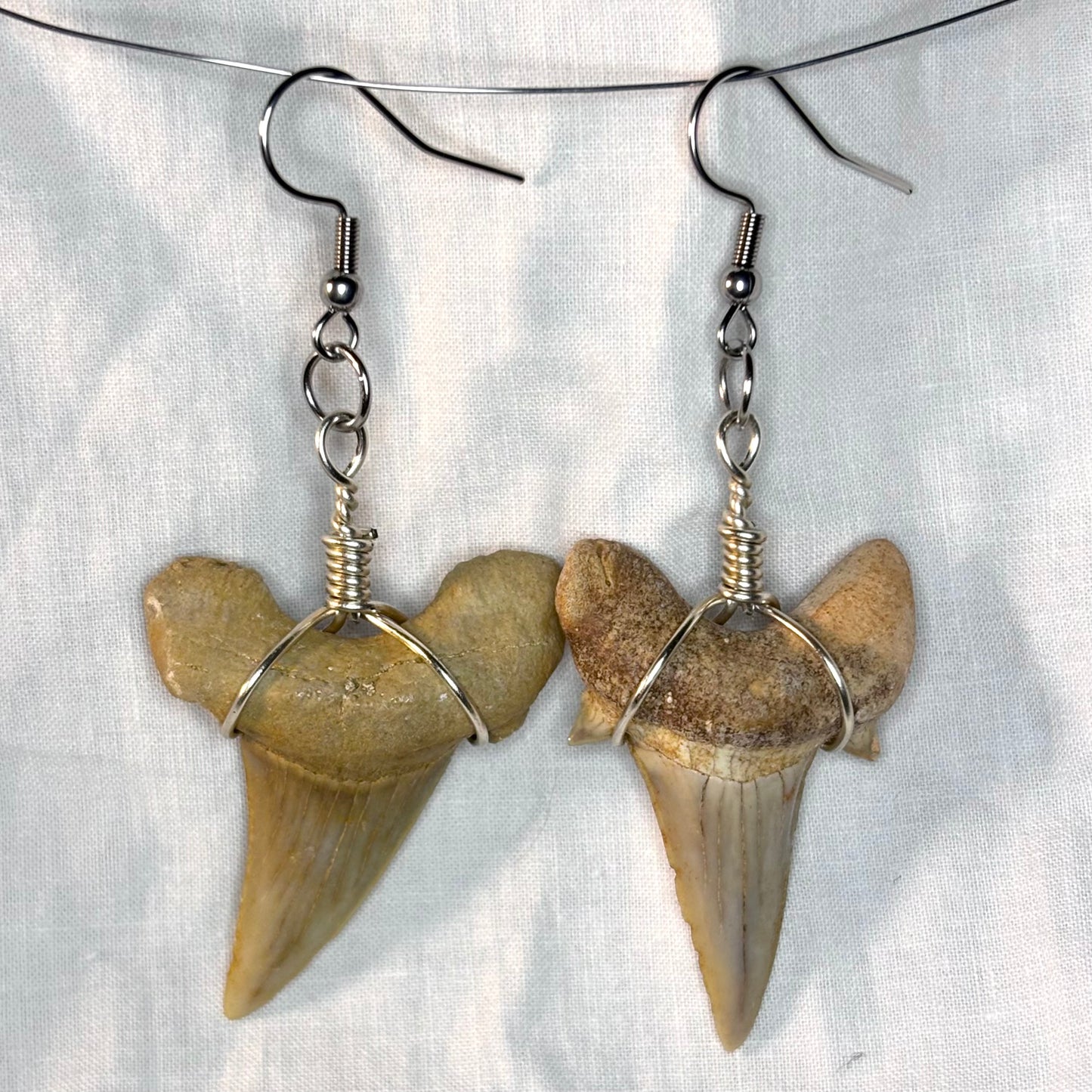 shark tooth earrings