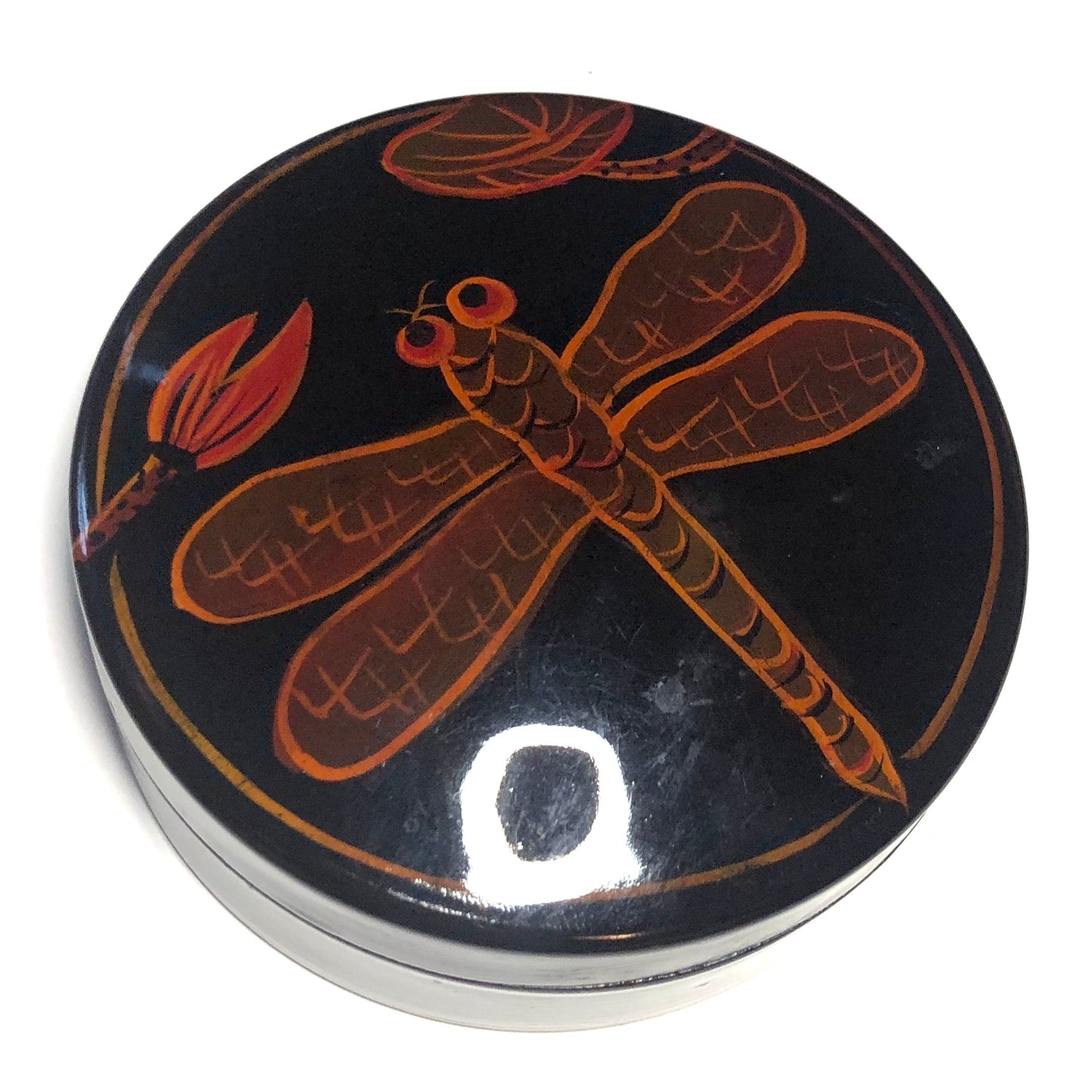 dragonfly box