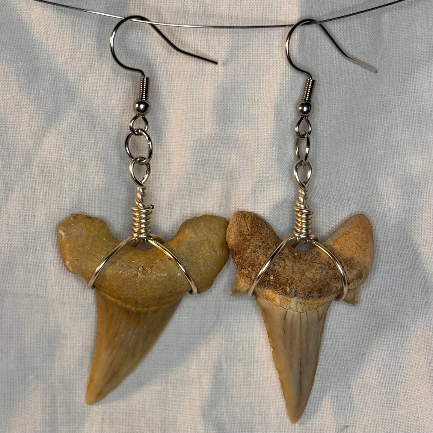 shark tooth earrings