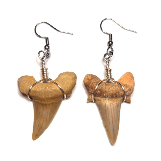 Shark Tooth Earrings