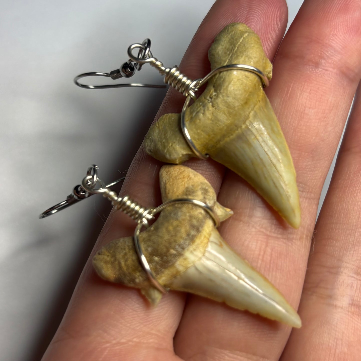 Shark Tooth Earrings